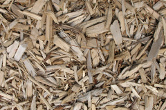 biomass boilers Tregynon